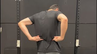 Exercise Progressions for Low Back Pain [upl. by Kizzee]