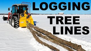 LOGGING TREE LINES ON THE FARM [upl. by Seena]