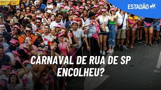 Carnaval de rua de SP encolheu Por que tantos blocos desistiram de desfilar em 2024 [upl. by Jarietta881]