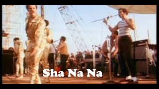 SHA NA NA at WOODSTOCK audio [upl. by Nnylylloh]