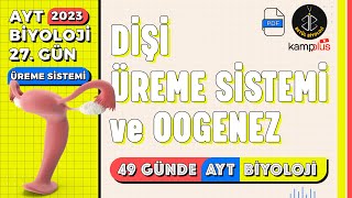 27 Dişi Üreme Sistemi ve Oogenez  Üreme Sistemi 11 Sınıf  2023 AYT Biyoloji Kampı 27 Gün [upl. by Elinet]