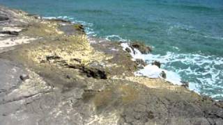 San Salvador Bahamas  blowhole in rocky shore [upl. by Euqinay703]