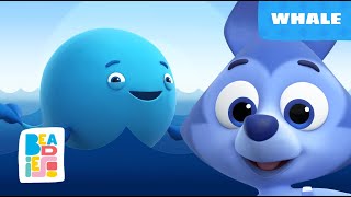 Beadies — Whale — Episode 47 — Season 1 — Nursery Rhymes amp Songs for kids [upl. by Rehpotsirc]