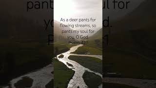 As a deer pants for flowing streams so pants my soul for you O God 🙏💗 lovegod scripture truth [upl. by Leonsis]