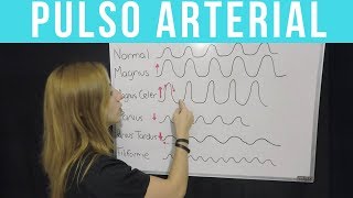 PULSO ARTERIAL ¡Todo lo que tienes que saber  Mentes Médicas [upl. by Laurita]