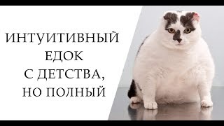 ПОЧЕМУ ТОГДА ЕСТЬ ПОЛНЫЕ ЛЮДИ Интуитивное питание [upl. by Wilt935]