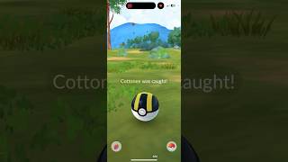 Shiny Cottonee Wild Are They Full Oddsshinypokemon pokemongo pokemon shorts [upl. by Morley]