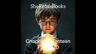 Harry Potter and the Philosopher’s Stone Chapter Seventeen  Audiobook [upl. by Tarabar]