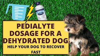 What is the Pedialyte dosage for dogs that are dehydrated [upl. by Tteltrab]