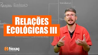 RELAÇÕES ECOLÓGICAS III  🎯BIOLOGIA PARA O VESTIBULAR [upl. by Hgielrebmik]