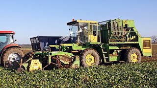 Super rare Standen Challenger SP6 selfpropelled sugar beet harvester  Rolls Royce engine  Classic [upl. by Merp]