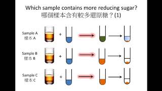 SBA DSE Bio Glucose test strip Clinistix Paper 尿糖試紙 Iodine test 碘液測試 Benedict’s test 本立德測試 [upl. by Holladay]