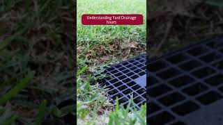 Yard Drainage Solutions Effective Ways To Solve Water Runoff Issues shorts [upl. by Alakim493]