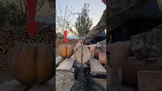 😳Wood splitter Vs Pumpkins… [upl. by Lynda]