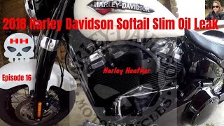 2018 Harley Davidson Softail Slim Oil Leak [upl. by Ettennat]