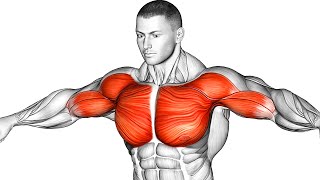 The Best Chest Workout Guide To Build A Massive Pec [upl. by Ahsem]