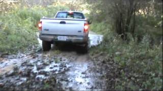 99 F150 Forest Tour and Mud Pit [upl. by Dare]