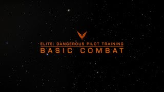 Pilot Training  Basic Combat [upl. by Dnamra]