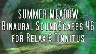 SUMMER MEADOW  Binaural SoundScapes §46 for Relax amp Tinnitus [upl. by Gretna]