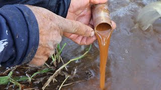 A ÁGUA DA CACIMBA DEU PROBLEMA FERRUGEM NA ÁGUA FIZ UM FILTRO PRA RESOLVER [upl. by Rimaj131]