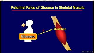 Grand Rounds 20230405 [upl. by Helbonnah]