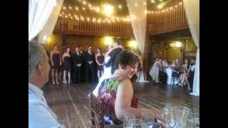 Britney Spears Wedding IntroductionsFirst Dance [upl. by Buyse436]