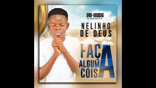 ALBUM COMPLETO DE NELINHO DE DEUS [upl. by Haianeb]