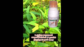 Ulundu Karamani herbicide from 17 days to 25 days agriplantation [upl. by Bellina]