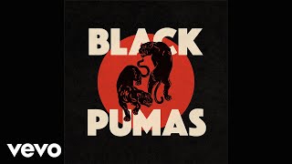 Black Pumas  Know You Better Official Audio [upl. by Anivel]