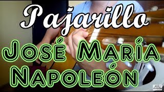 Como tocar Pajarillo  José María Napoleón en Guitarra [upl. by Bresee]