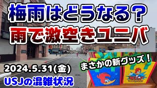 【USJ梅雨はどうなる⁉︎】貸切ナイト実施なのに雨でめちゃ空きに‼︎アトラクションの待ち時間まとめ♪新作グッズ大量入荷♪2024年5月31日金曜日、ユニバーサルスタジオジャパンの混雑状況 [upl. by Aiyot]