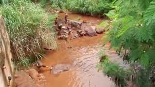 PESCARIA INUSITADA NO CÓRREGO DOS PIRES  JAÚ  16022014  Assista em HD [upl. by Enyleve698]