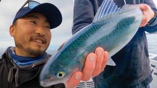 We Feed the Community by Fishing No Waste Sustainability and Maori Culture [upl. by Crawford]