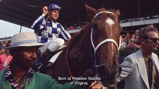 Secretariats Legendary Triple Crown Victory Relive the 1973 Belmont Stakes [upl. by Poppo]