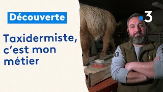 Cest mon métier  taxidermiste [upl. by Noramac]