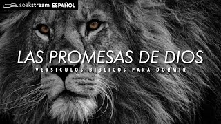 Las Promesas de Dios  Versiculos Biblicos Para Dormir [upl. by Ydissahc43]