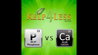 Kelp4less Podcast  Ep 39  Phosphorus VS Calcium [upl. by Brett]