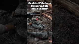 Cooking Fabulous Dinner In Self Build Wooden Shelter [upl. by Nwahsram]