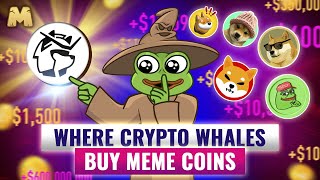 USE THESE TO BUY MEME COINS BEFORE THE JUMP [upl. by Radman]