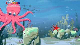 SAT7 KIDS  My School مدرستي S1 Songs  Octopus  أخطبوط [upl. by Picco762]