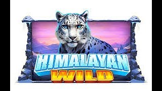 MGA Licence Pragmatic play Himalayan Wilds 2000x win [upl. by Brelje]