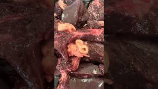 Fasciola hepática en canalículos biliares 🐮 medicinaveterinaria veterinaria [upl. by Kissiah553]