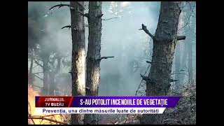 S au potolit incendiile de vegetatie [upl. by Auqinihs]