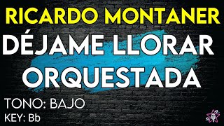 Ricardo Montaner  Déjame Llorar Orquestado  Karaoke Instrumental  Tono Bajo [upl. by Vassily842]