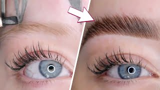 Microblading Eyebrows Step By Step  Brow Transformations [upl. by Bak]