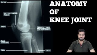 KNEE JOINT ANATOMY [upl. by Babb]