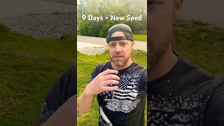 New Grass Seed Progress grassseed lawncare lawncarevlog [upl. by Nilyad]