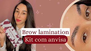 Brow lamination  Realinhamento de sobrancelhas com kit Helen Color  Resenha [upl. by Yekim]