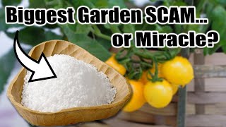 Hidden Dangers of EPSOM SALT in the Garden [upl. by Eilsel]