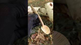 Survival Skills Tree Bark Spoon survival camping outdoors lifehacks [upl. by Acisset]